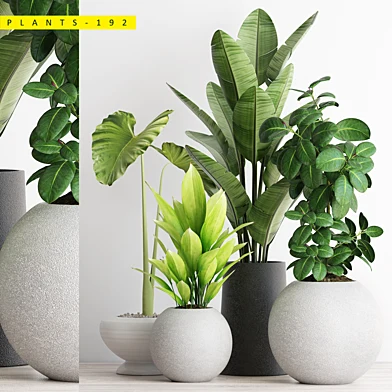 PLANTS 192
