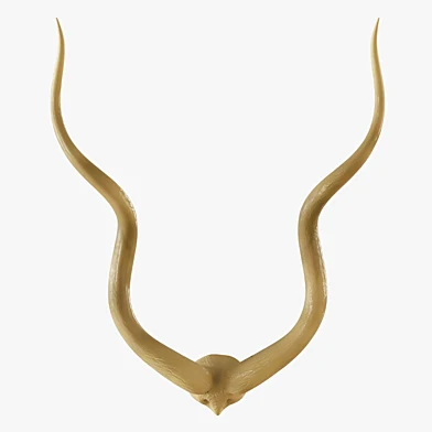 Authentic Kudu Horn Pair