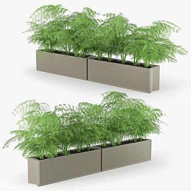 Flowerbed terracotta