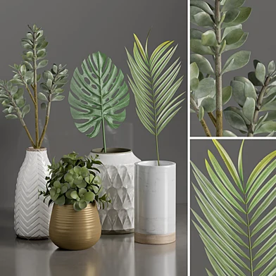 Plants 1