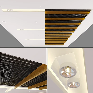 Modern Ceiling