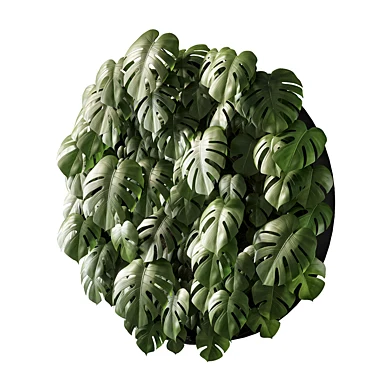 vertical garden 04