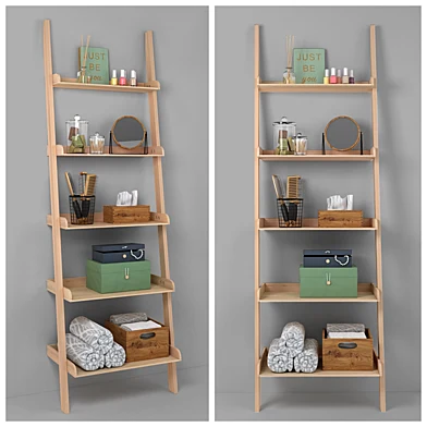 Ladder shelf