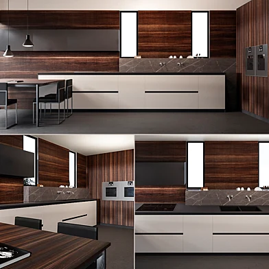Aster CONTEMPORA composition 2