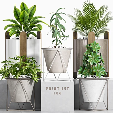 plant set-106