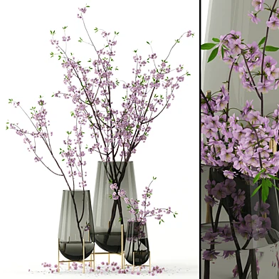 Cherry blossom in Echasse Vases