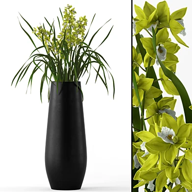 Cymbidium in floor vase