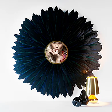 Plumage 27