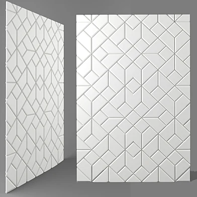 panel
