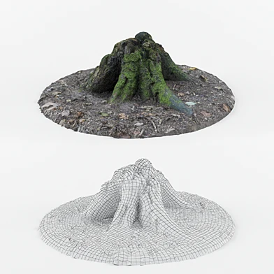 Forest Stump