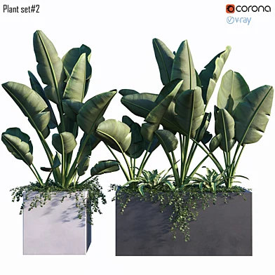 Plant set #2