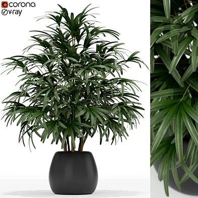 Plants collection 170