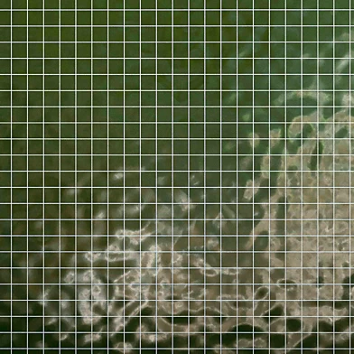 Tiles set Geometry Pattern Green - Square
