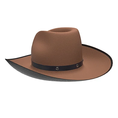 Cowboy hat