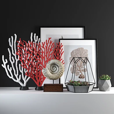 set655 -coral2
