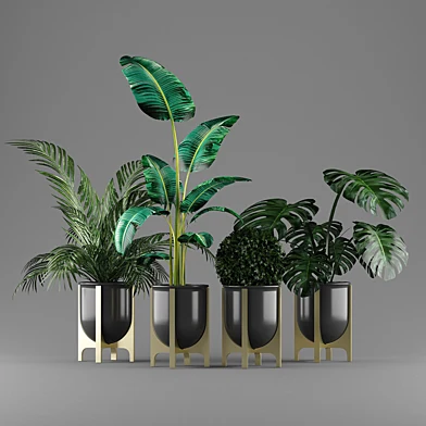 plant set 4