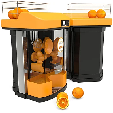 Profesionnal Juicer Machine