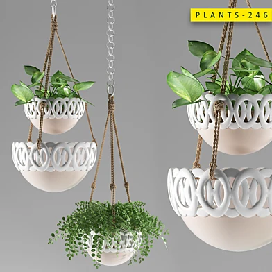 Plants 246
