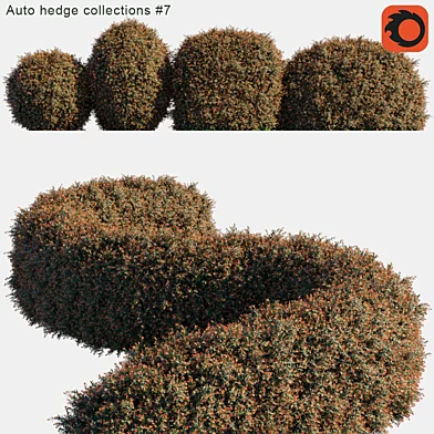 Auto hedge collections #7