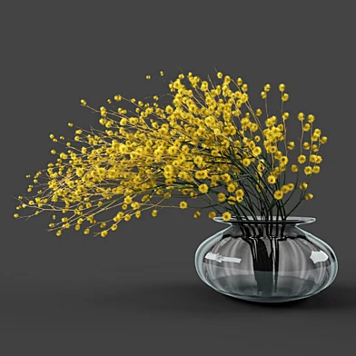 Vase acacia