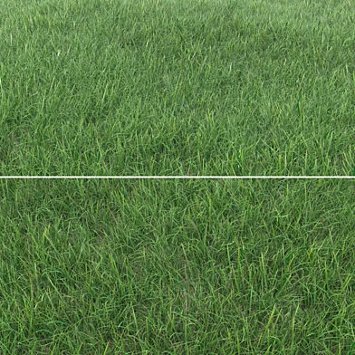 Grass_Landscaping_02