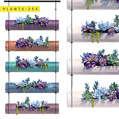Plants 255