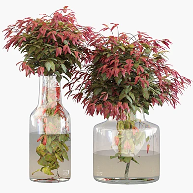 Branches in vases 26 : Dwarf sacred bamboo