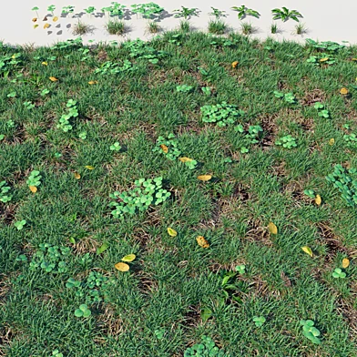 grass and clover