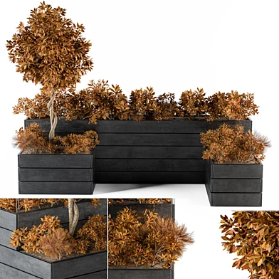 outdoor-plants Flower Box Fall Color