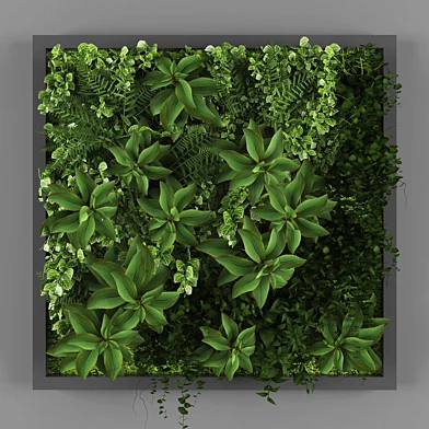 Vertical garden 022