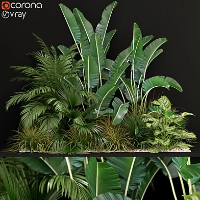Plants collection 237