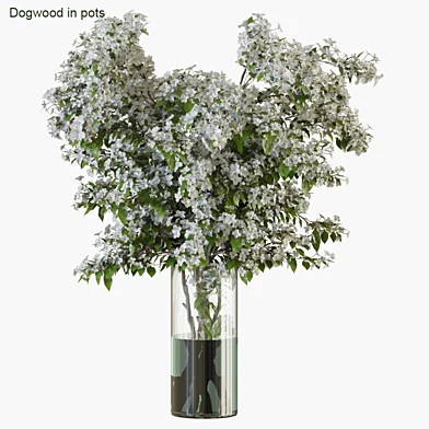 Branches in vases 34