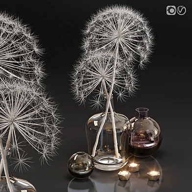 Decor set 13 Heracleum plant white