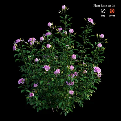 Plant rose set 08