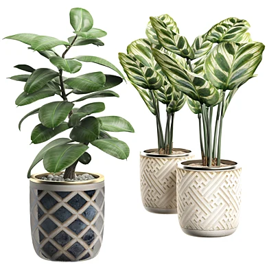 INTERIOR FLOWER PACK 9 - Window placing plants