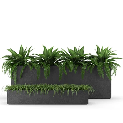 Plants collection 09