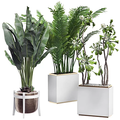 INTERIOR FLOWER PACK 14 - Zonning v.2