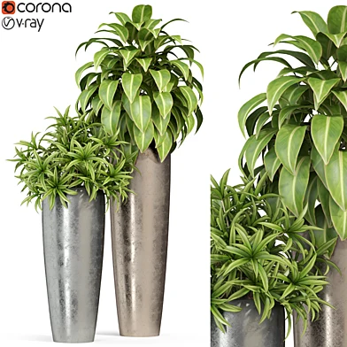 Plants collection 283 Fleurami ROYAL