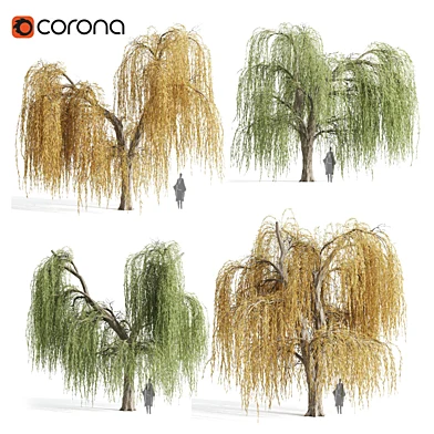 Mad Weeding Willow