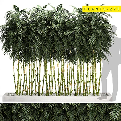plants275