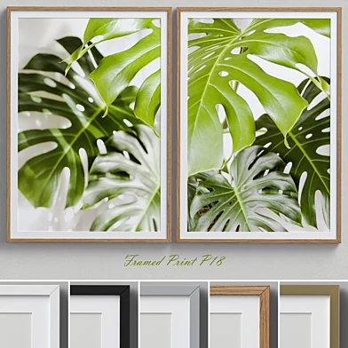 Framed Print P-18
