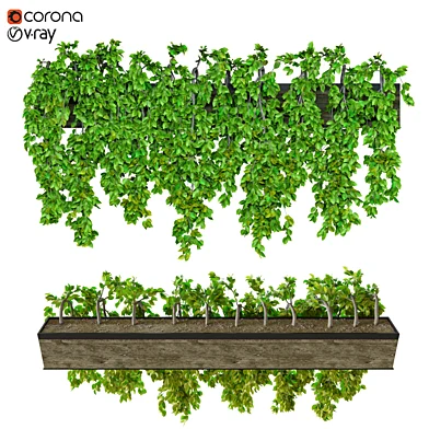 Hanging plant_3