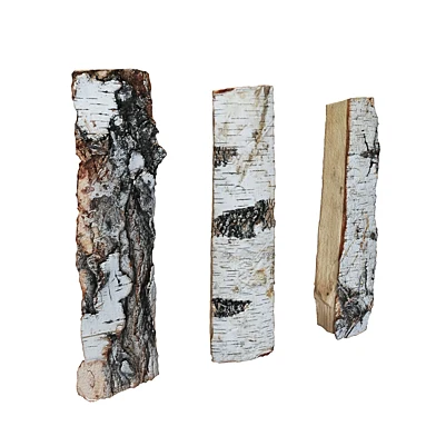 Burned woods