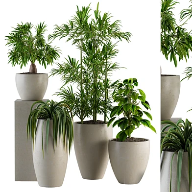 Interior Plants Set