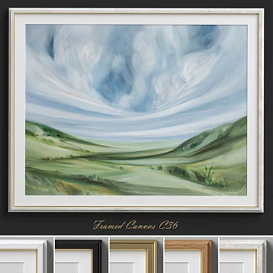 Framed Canvas C-36