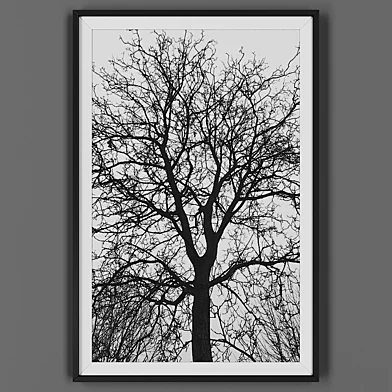Picture frame 00043-76