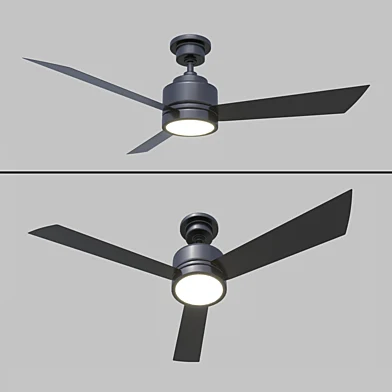 Fan with Light