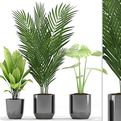 Plants 219