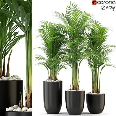 Plants collection 333