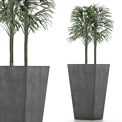 Single Plant 08